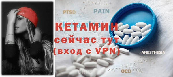 гашик Ельня