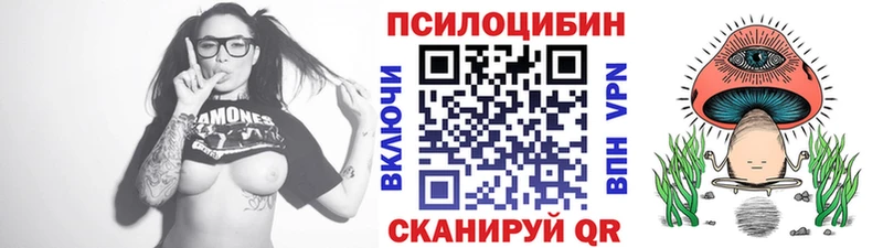 blacksprut вход Пролетарск Псилоцибиновые грибы GOLDEN TEACHER